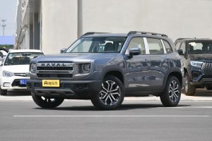 9f266744a2a0b4c0ea0ae3138940554 Haval Dog