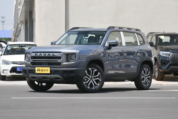 9f266744a2a0b4c0ea0ae3138940554 Haval Dog