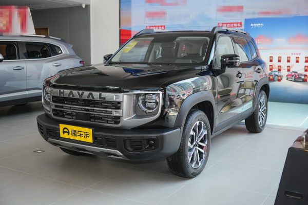 b8265b13689d9b2f88e2ae9a6df2a62 Haval Dog