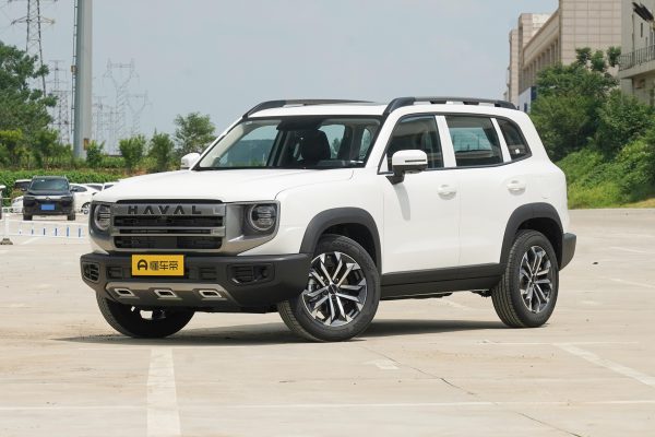 b854d2e0b1efd51b0b7c395267d74f8 Haval Dog