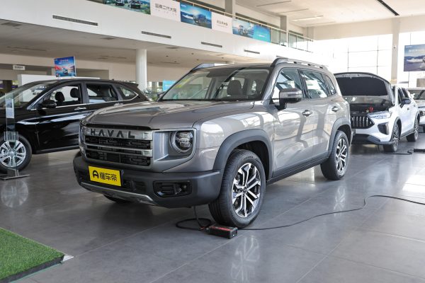 f8d494e043c642c5d752f137d0b2001 Haval Dog